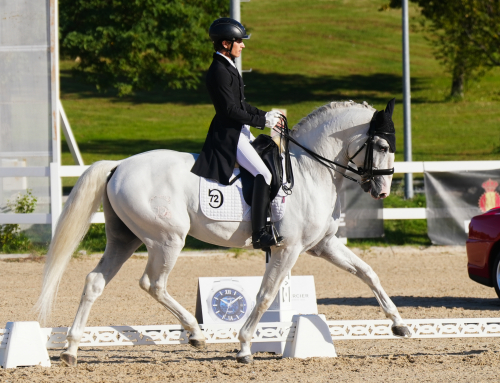 CDN ** RACE | EQUITARE