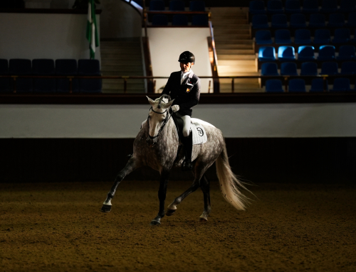 CDI 3* Real Escuela | Marzo 2024