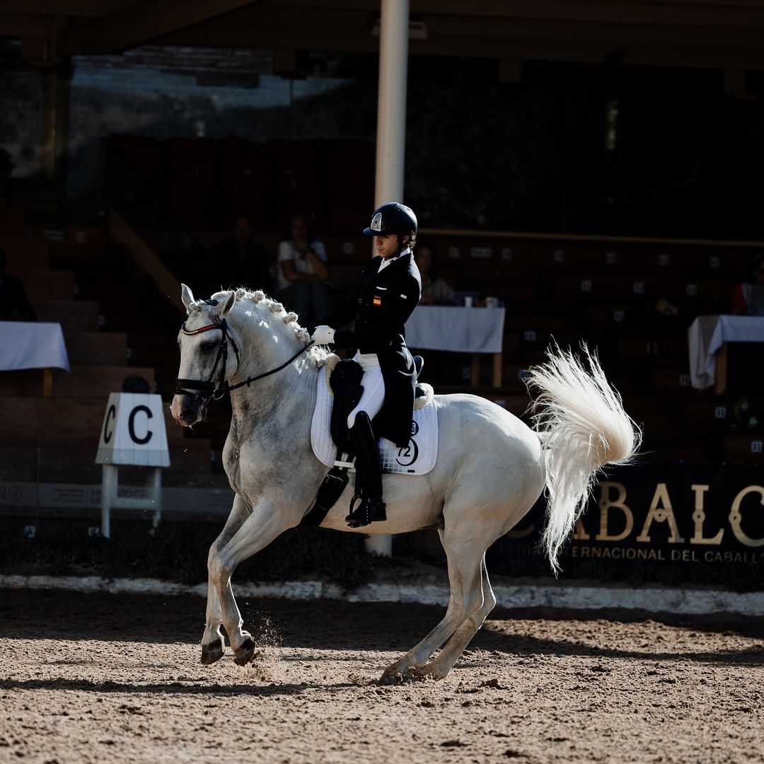 ANDRES HERRERA BRAVO